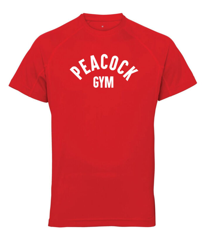 Panelled tech tee - Red and White